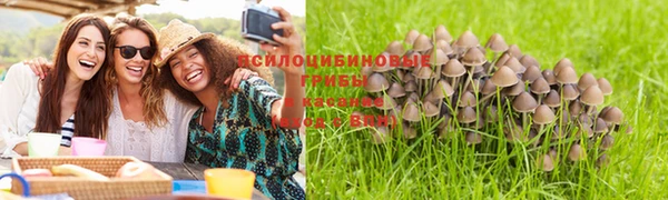 прущие крисы Усинск
