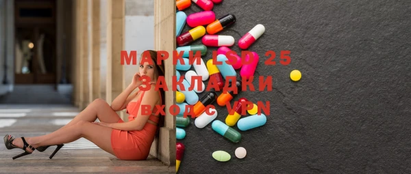 дмт Новозыбков
